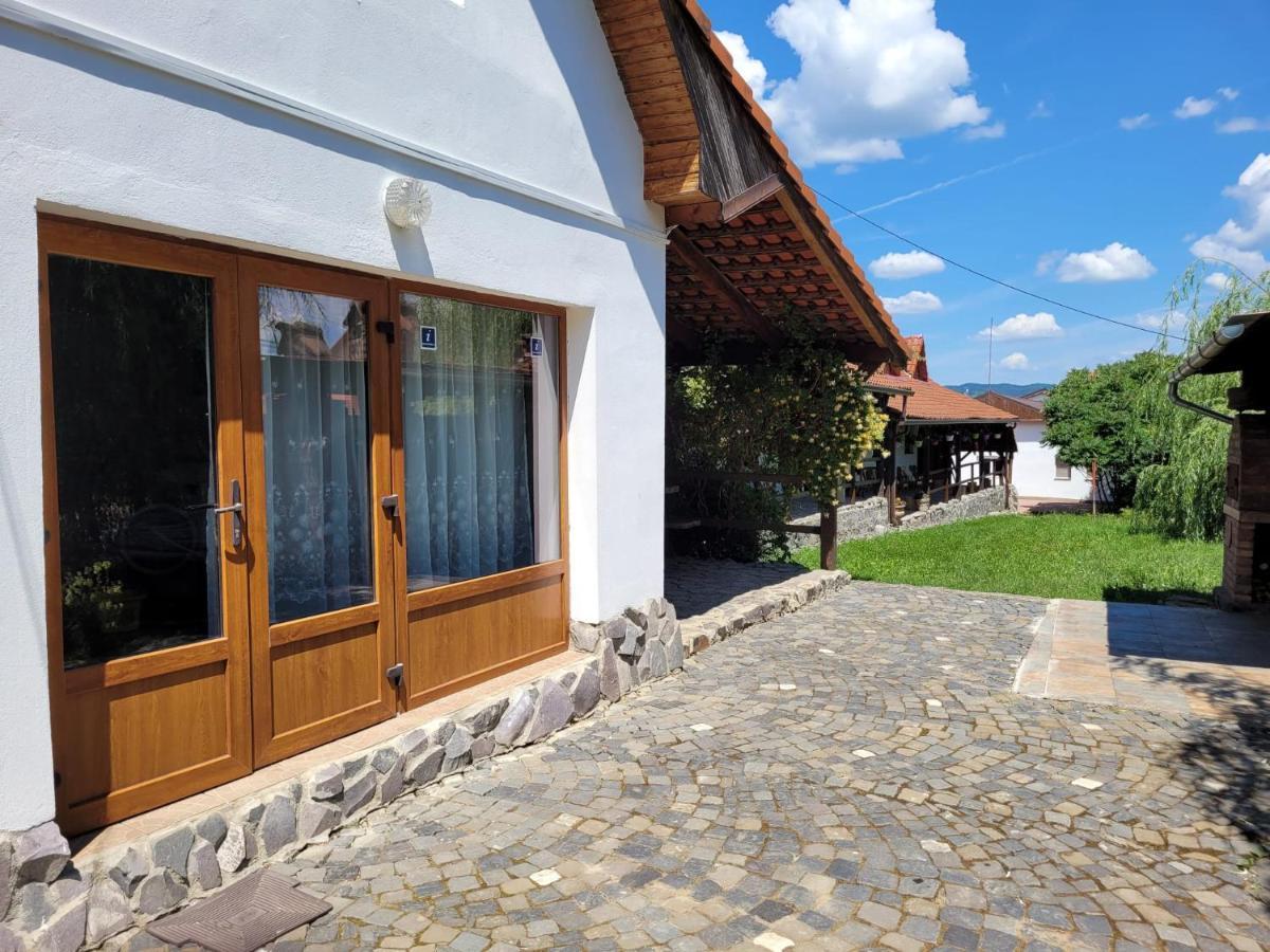 Vila Sura Razoare Сігішоара Екстер'єр фото