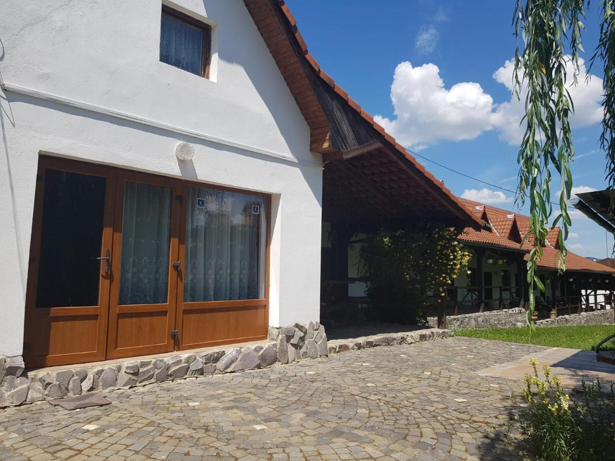 Vila Sura Razoare Сігішоара Екстер'єр фото