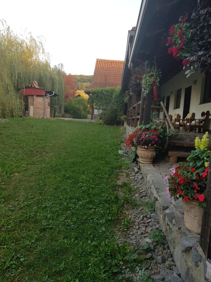 Vila Sura Razoare Сігішоара Екстер'єр фото