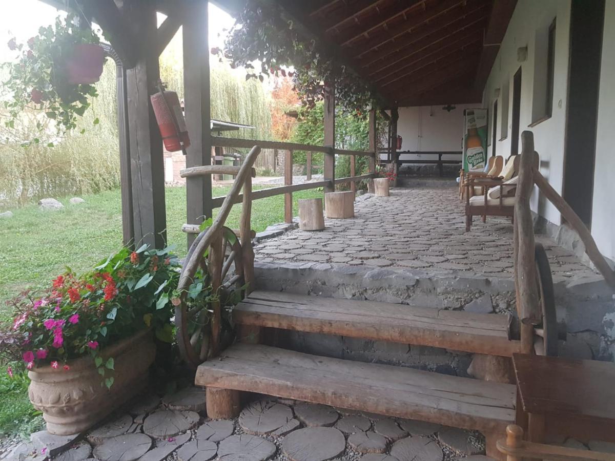 Vila Sura Razoare Сігішоара Екстер'єр фото