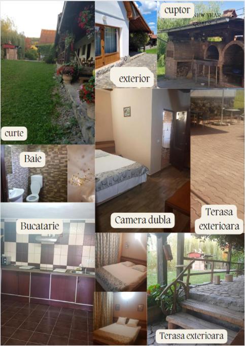 Vila Sura Razoare Сігішоара Екстер'єр фото