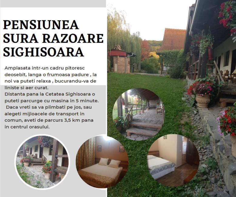 Vila Sura Razoare Сігішоара Екстер'єр фото